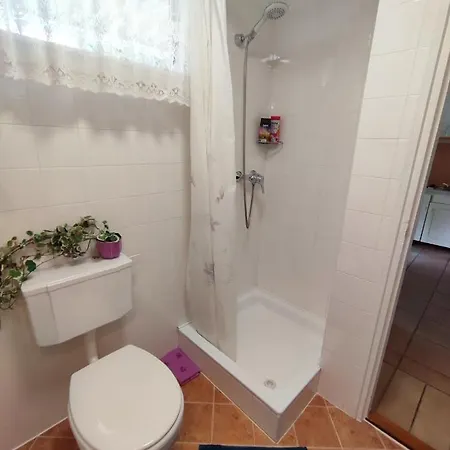 Valentin 希欧福克